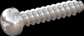 screw for plastic: Screw STS-plus KN6032 2x10 - H1 stainless-steel, A2 - 1.4567 Bright-pickled and passivated