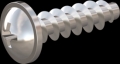 screw for plastic: Screw STS KN1031-Neu 5x18 - Z2 stainless-steel, A2 - 1.4567 Bright-pickled and passivated