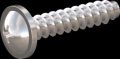 screw for plastic: Screw STS-plus KN6031 3x14 - H1 stainless-steel, A2 - 1.4567 Bright-pickled and passivated