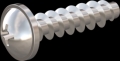 screw for plastic: Screw STS KN1031-Neu 2.5x10 - H1 stainless-steel, A2 - 1.4567 Bright-pickled and passivated