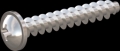 screw for plastic: Screw STS KN1031-Neu 4x25 - H2 stainless-steel, A2 - 1.4567 Bright-pickled and passivated