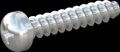screw for plastic: Screw STS-plus KN6032 2x10 - H1 steel, hardened 10.9 zinc-plated 5-7 ?m, baked, blue / transparent passivated