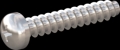 screw for plastic: Screw STS-plus KN6032 2.5x14 - H1 stainless-steel, A2 - 1.4567 Bright-pickled and passivated