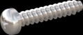 screw for plastic: Screw STS-plus KN6032 3x16 - H1 stainless-steel, A2 - 1.4567 Bright-pickled and passivated
