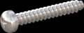 screw for plastic: Screw STS-plus KN6032 3x20 - H1 stainless-steel, A2 - 1.4567 Bright-pickled and passivated