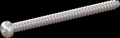 screw for plastic: Screw STS-plus KN6032 4x55 - H2 stainless-steel, A2 - 1.4567 Bright-pickled and passivated