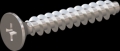 screw for plastic: Screw STS KN1033-Neu 2.5x16 - H1 stainless-steel, A2 - 1.4567 Bright-pickled and passivated