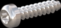 screw for plastic: Screw STS-plus KN6039 2.5x10 - T8 stainless-steel, A2 - 1.4567 Bright-pickled and passivated