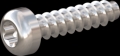 screw for plastic: Screw STS-plus KN6039 3x12 - T10 stainless-steel, A2 - 1.4567 Bright-pickled and passivated
