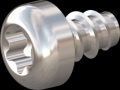 screw for plastic: Screw STS-plus KN6039 4x6 - T20 stainless-steel, A2 - 1.4567 Bright-pickled and passivated