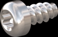 screw for plastic: Screw STS-plus KN6039 4x8 - T20 stainless-steel, A2 - 1.4567 Bright-pickled and passivated