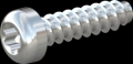 screw for plastic: Screw STS-plus KN6039 4x15 - T20 steel, hardened 10.9 zinc-plated 5-7 ?m, baked, blue / transparent passivated