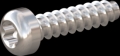 screw for plastic: Screw STS-plus KN6039 4x16 - T20 stainless-steel, A2 - 1.4567 Bright-pickled and passivated