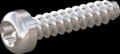 screw for plastic: Screw STS-plus KN6039 4x18 - T20 stainless-steel, A2 - 1.4567 Bright-pickled and passivated