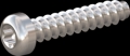 screw for plastic: Screw STS-plus KN6039 4.5x22 - T20 stainless-steel, A2 - 1.4567 Bright-pickled and passivated