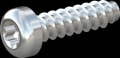 screw for plastic: Screw STS-plus KN6039 6x22 - T30 steel, hardened 10.9 zinc-plated 5-7 ?m, baked, blue / transparent passivated