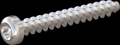 screw for plastic: Screw STS KN1039 2.5x18 - T8 stainless-steel, A2 - 1.4567 Bright-pickled and passivated