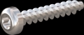 screw for plastic: Screw STS KN1039 3x16 - T10 stainless-steel, A2 - 1.4567 Bright-pickled and passivated