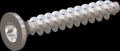 screw for plastic: Screw STS KN1041 2.5x16 - T8 stainless-steel, A2 - 1.4567 Bright-pickled and passivated