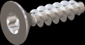 screw for plastic: Screw STS KN1041 4x16 - T20 stainless-steel, A2 - 1.4567 Bright-pickled and passivated